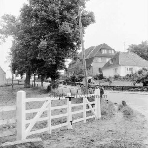 Trenthorst: weißes Gatter: links Baumreihe: dahinter Dorfstraße mit Trecker: hinten rechts Gebäude des Max-Planck-Instituts für Tierzüchtung und Tierernährung