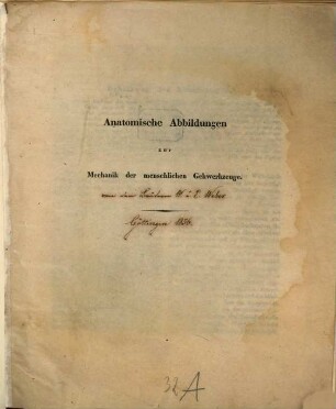 Mechanik der menschlichen Gehwerkzeuge : eine anatomisch-physiologische Untersuchung, [2]. Anatomische Abbildungen zur Mechanik der menschlichen Gehwerkzeuge