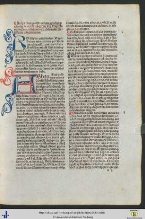 Liber rosella casuum