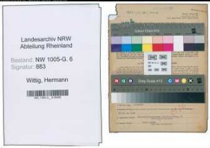 Entnazifizierung Hermann Wittig , geb. 14.06.1905 (Ingenieur)