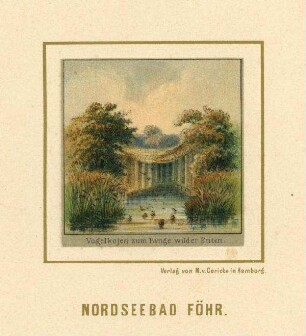 Föhr - Vogelkoje