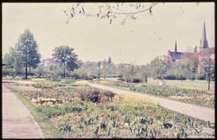 Blick in den Volkspark Wilmersdorf