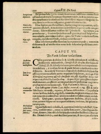 Caput VII. De Poris Salium volatilium.