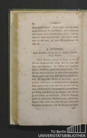 Zuckerwurzel. Sium sisarum. Linn. Cl. V. Franz. chervis. Engl. skirret.