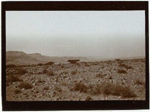 vom ras el-hisch Blick n. N