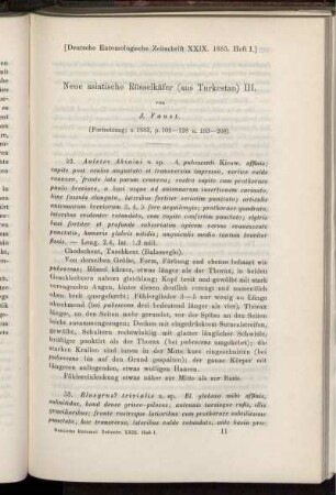 Neue asiatische Rüsselkäfer (aus Turkestan) III