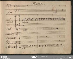 Terzetto: "Scendi o cara adagio adagio"