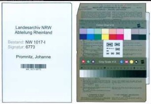 Entnazifizierung Johanne Promnitz , geb. 16.11.1896 ()
