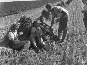 Cotta, Arbeitspause auf einem Feld : Cotta. Getreideernte. Arbeitspause