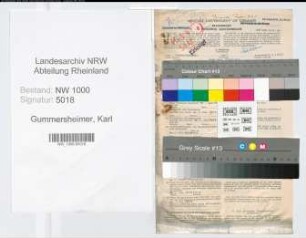 Entnazifizierung Karl Gummersheimer, geb. 13.02.1890 (Finanzbeamter)