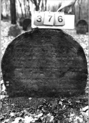 Grabstein 376 (Index: 99752606) Material: Sandstein Zustand: gut, Stele eingesunken Maße HxBxT: 62x72x10 cm Beschreibung: Stele, Rundbogenabschluß: Grabstein 376