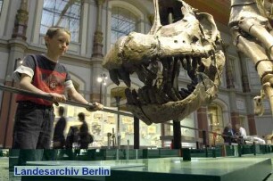 Museum für Naturkunde; Invalidenstraße 43 (Mitte)