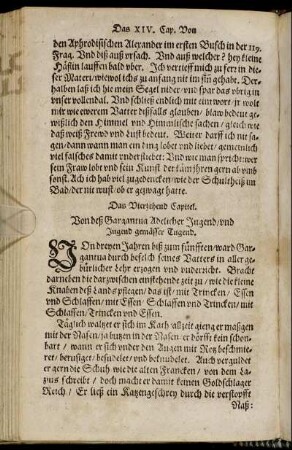 Das Vierzehend Capitel.