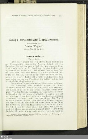 Einige afrikanische Lepidopteren