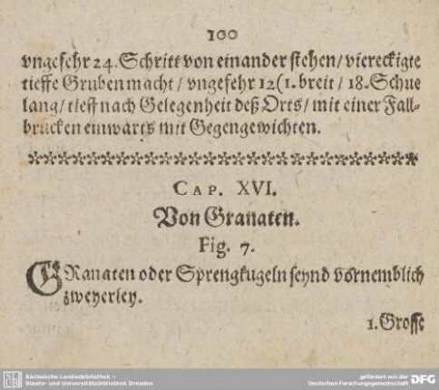 CAP. XVI. Von Granaten.