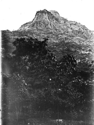 Vegetation vor einem Felsmassiv : Blick auf ein Felsmassiv. Im Vordergrund waldartige Vegetation