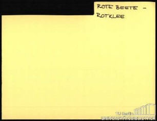 ROTE BEETE-ROTKLEE