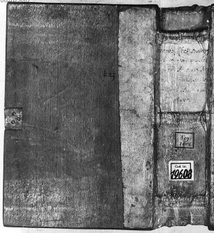 Rubricae, prologi, argumenta librorum bibliae - BSB Clm 19608
