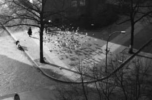 Berlin-Charlottenburg : Berlin-Charlottenburg, Pestalozzistrasse. Straßenbild Ecke Grolmannstrasse mit Tauben