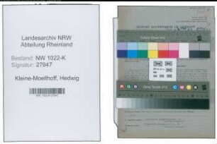 Entnazifizierung Hedwig Kleine-Moellhoff , geb. 06.01.1900 ()