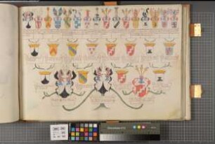 Proband: Weichs, Leopold Edmund von; Vater: Weichs, Adolph von; Mutter: Schorlemer, Maria Dorothea von: Westfalen, Hzgtm, Ritterschaft