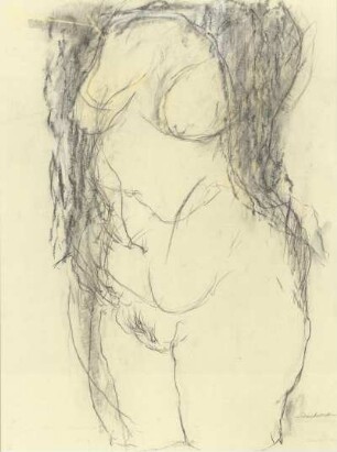 Frauenkörper (Torsoserie) Blatt II