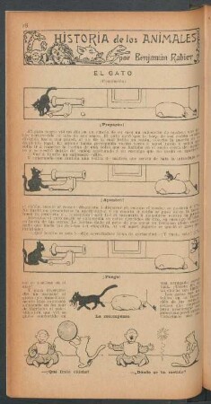 El gato - (Conclusión) : Historia de los animales