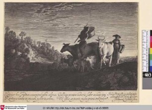 [Die weiße Kuh; The white Cow]