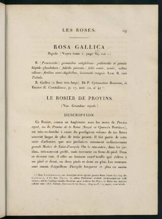 19-20, Rosa Gallica (Regalis.) Le Rosier de Provins (Var. Grandeur royale.)