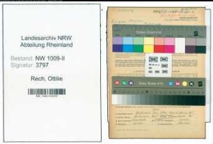 Entnazifizierung Ottilie Rech , geb. 14.08.1914 (Putzhilfe)