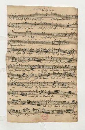 Soprano