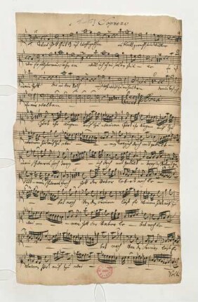Soprano
