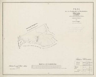 Plan über den Grundherrlich von Wittenbach'schen Wald-District Rotzel auf der Gemarkung Oberbiederbach