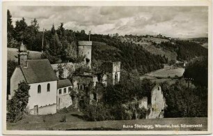 Ruine Steinegg