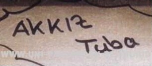 AKKIZ Tuba