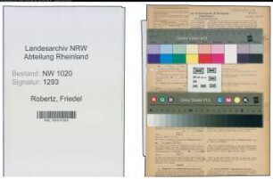 Entnazifizierung Friedel Robertz , geb. 03.06.1905 (Maler)