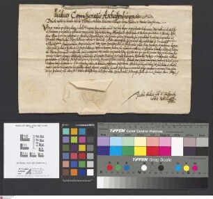 Seligenstadt: Provisio ad altaria uncta S.S. apostolorum et Barbare in parochiali ecclesia Seligenstadiana pro Wilhelmo Dalken Leodiensis divecess...