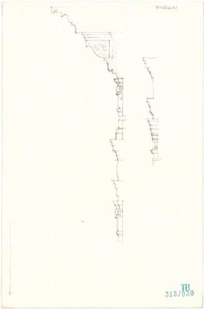 Fischer, Theodor; Italien; Bauaufnahmen - Palazzo Rucellai in Florenz - Gesimsprofile (Ansichten, Schnitt)