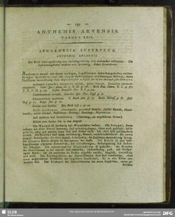 Anthemis Arvensis. Tabula XXIV.