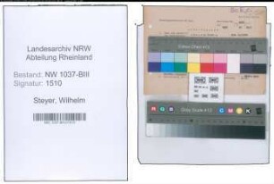 Entnazifizierung Wilhelm Steyer , geb. 02.02.1888 (Inspektor)