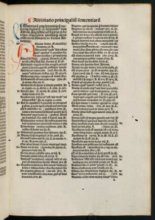 k1r-k10v, Annotatio principalium sententiarum