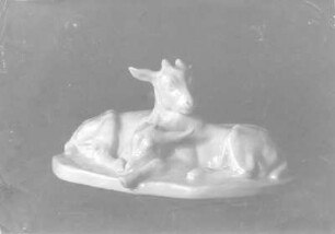 Zwei liegende Zicklein : Zwei liegende Zicklein. Porzellan, weiß glasiert (vor 1945; E. Richter). Dresden-Südvorstadt, Eisenstuckstraße, Atelier der Künstlerin