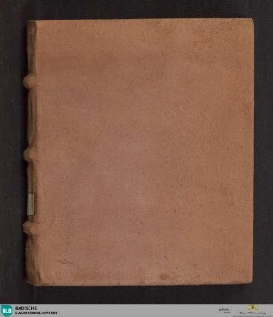 De sacramento poenitentiae - Cod. Ettenheim-Münster 375 : ordinis, extremae vnctionis, matrimonii