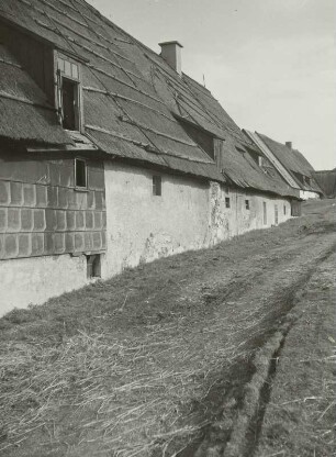 Hof Nr. 14, Hof Brauer
