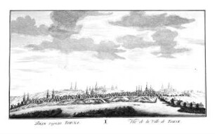 Vid goroda Tomska = Vue de la Ville de Tomsk