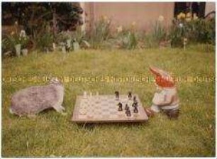 Kaninchen "spielt" mit einem Gartenzwerg Schach (Sonderthema: Spiele spielen)