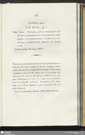 Lucina mitis. Tab. DLVII.—fig. 1