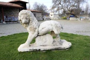 Löwe