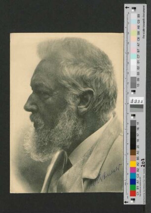 Wilhelm Ostwald