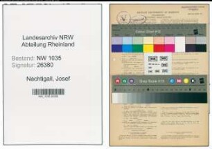 Entnazifizierung Josef Nachtigall , geb. 01.11.1880 (Elektroingenieur)
